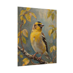 Goldfinch on a branch Wall Art - Poster