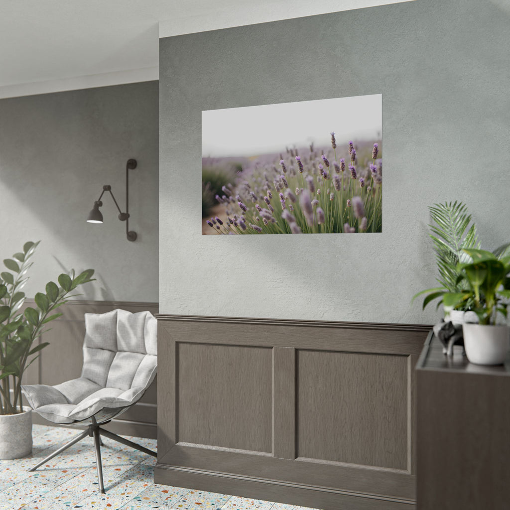 Lavender Field Wall Art – Poster