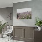 Lavender Field Wall Art – Poster