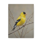 Putter Muurkunst Canvas — Gele Zangvogel Schilderij op Tak, Mat Gespannen Canvas