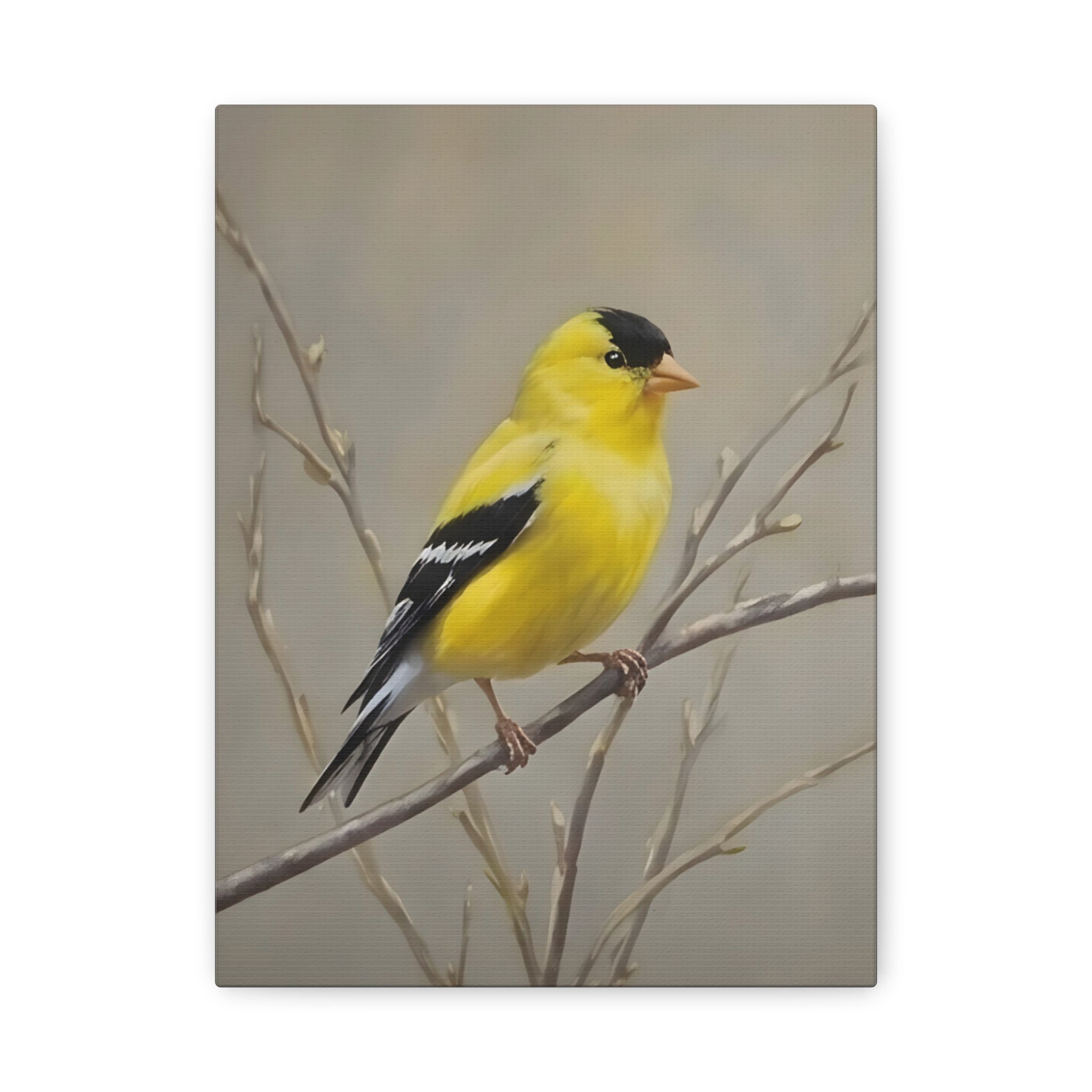 Goldfinch Wall Art Canvas — Yellow Songbird Painting on Branch, Matte Stretched Canvas