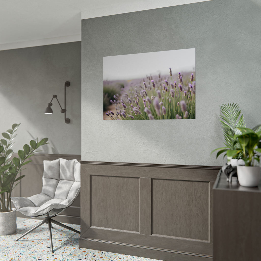 Lavender Field Wall Art – Poster