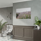 Lavender Field Wall Art – Poster