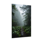 Misty Forest Path  Stretched Wall Art - Poster