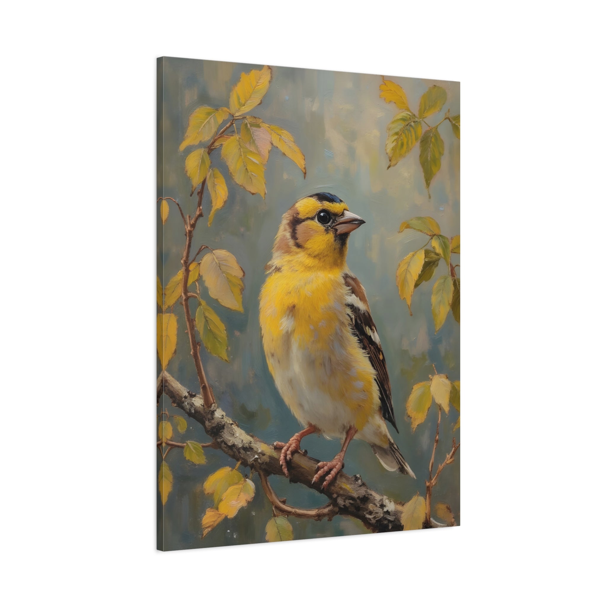 Goldfinch on a branch Wall Art - Stretched Canvas