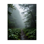 Misty Forest Path  Stretched Wall Art - Poster