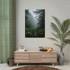 Misty Forest Path  Stretched Wall Art - Poster