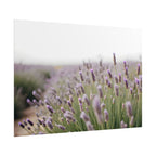 Lavender Field Wall Art – Poster