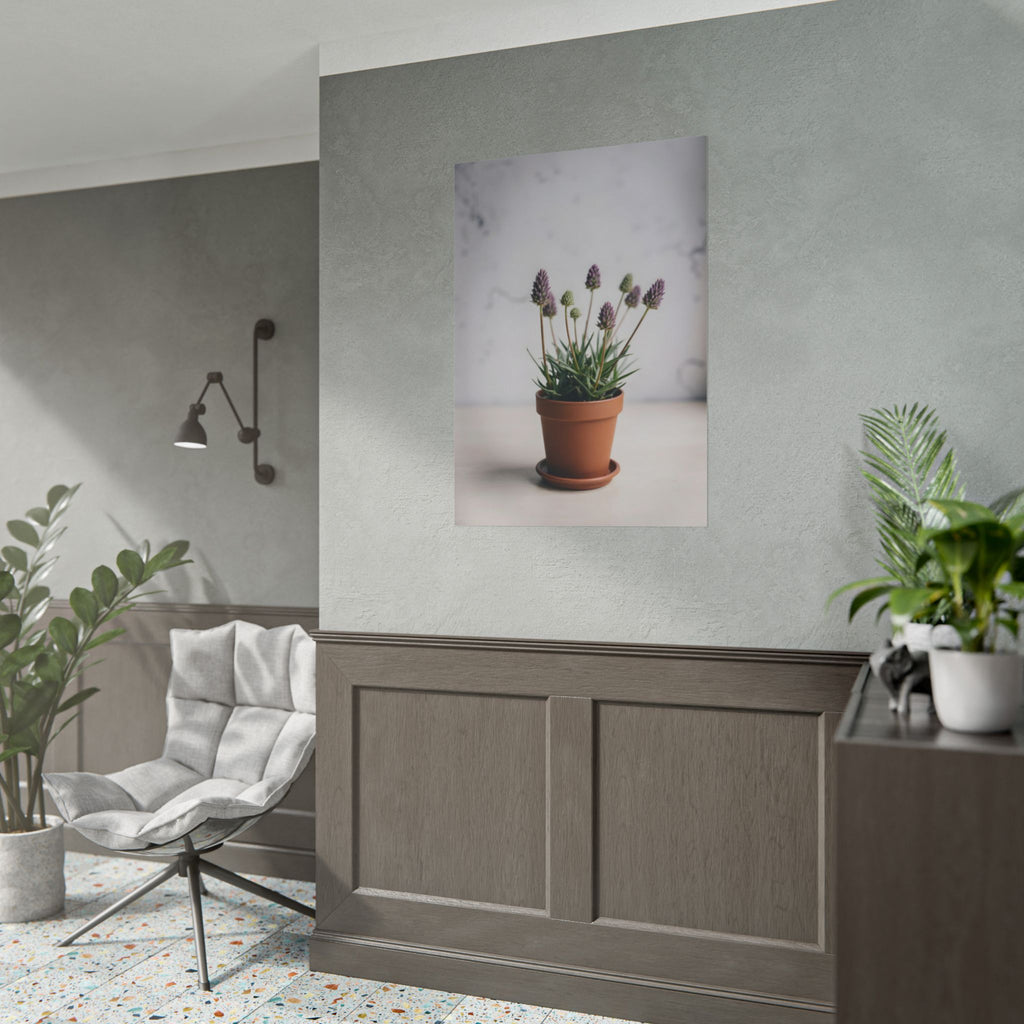 Potted Alpine Dodgegrass Wall Art – Poster