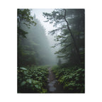 Misty Forest Path  Stretched Wall Art - Canvas Print