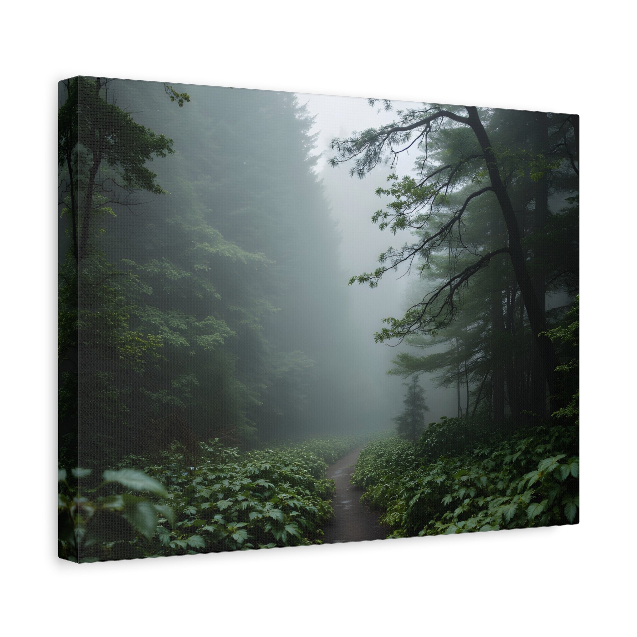 Misty Forest Path  Stretched Wall Art - Canvas Print