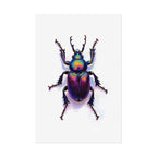 Iridescent Beetle Wall Art – Poster