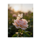 Butterfly on Pink Rose Wall Art - Poster