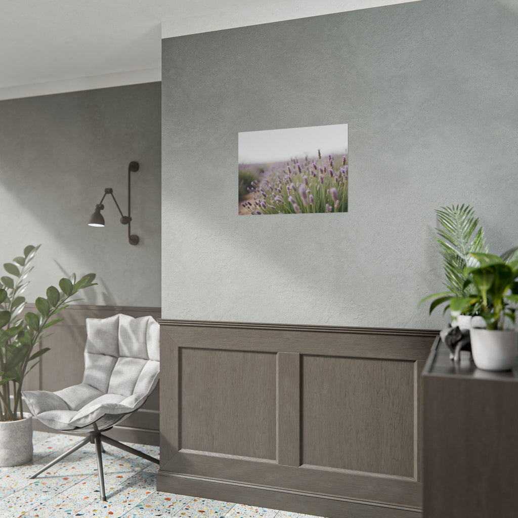 Lavender Field Wall Art – Poster