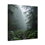Misty Forest Path  Stretched Wall Art - Canvas Print