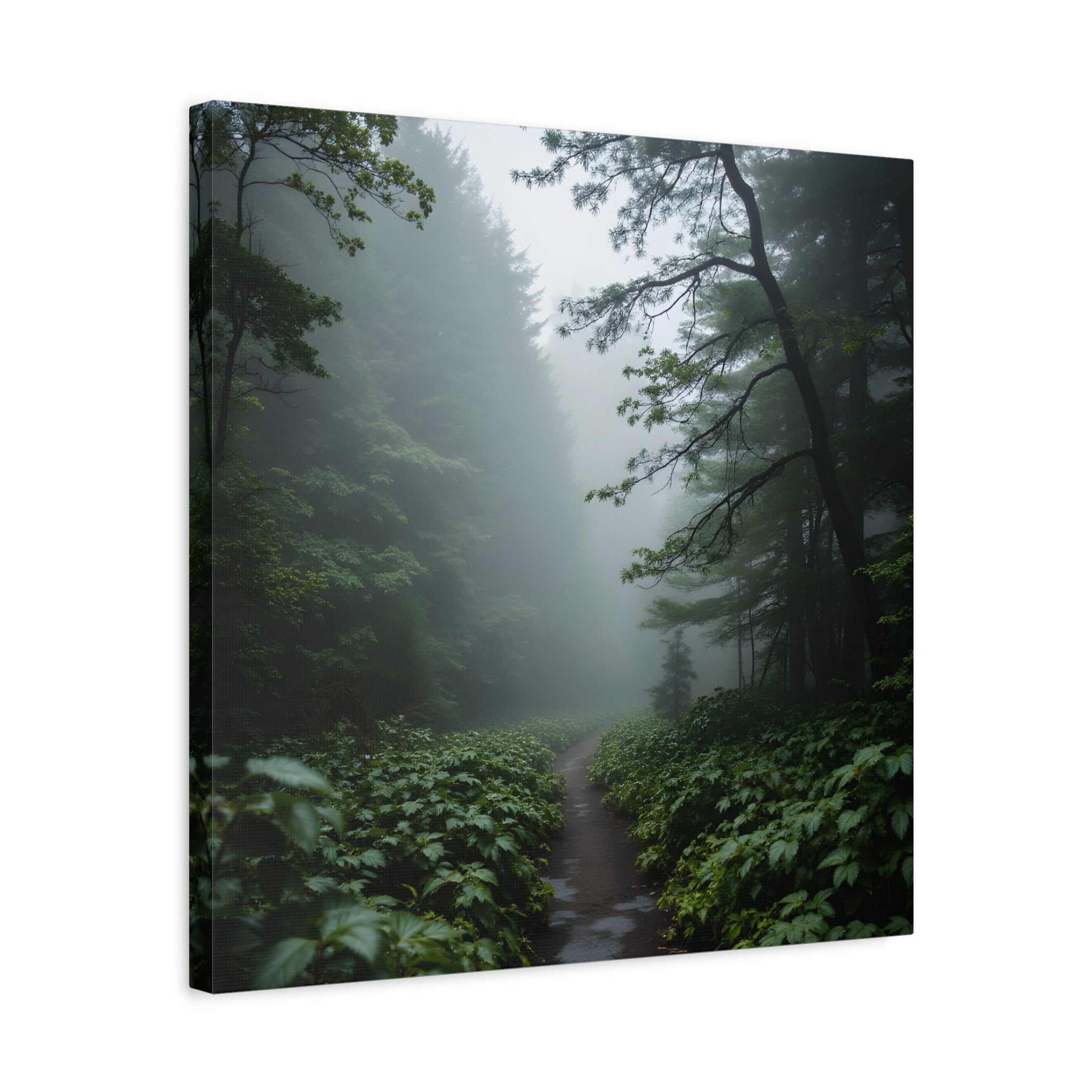 Misty Forest Path  Stretched Wall Art - Canvas Print