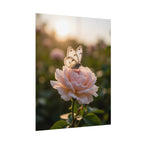 Butterfly on Pink Rose Wall Art - Poster