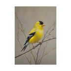 Goldfinch Art Poster - Yellow Songbird Print for Nature Lovers