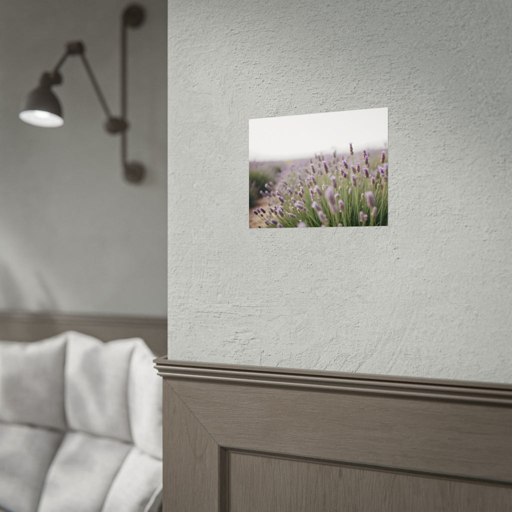 Lavender Field Wall Art – Poster