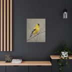 Putter Muurkunst Canvas — Gele Zangvogel Schilderij op Tak, Mat Gespannen Canvas