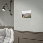 Lavender Field Wall Art – Poster