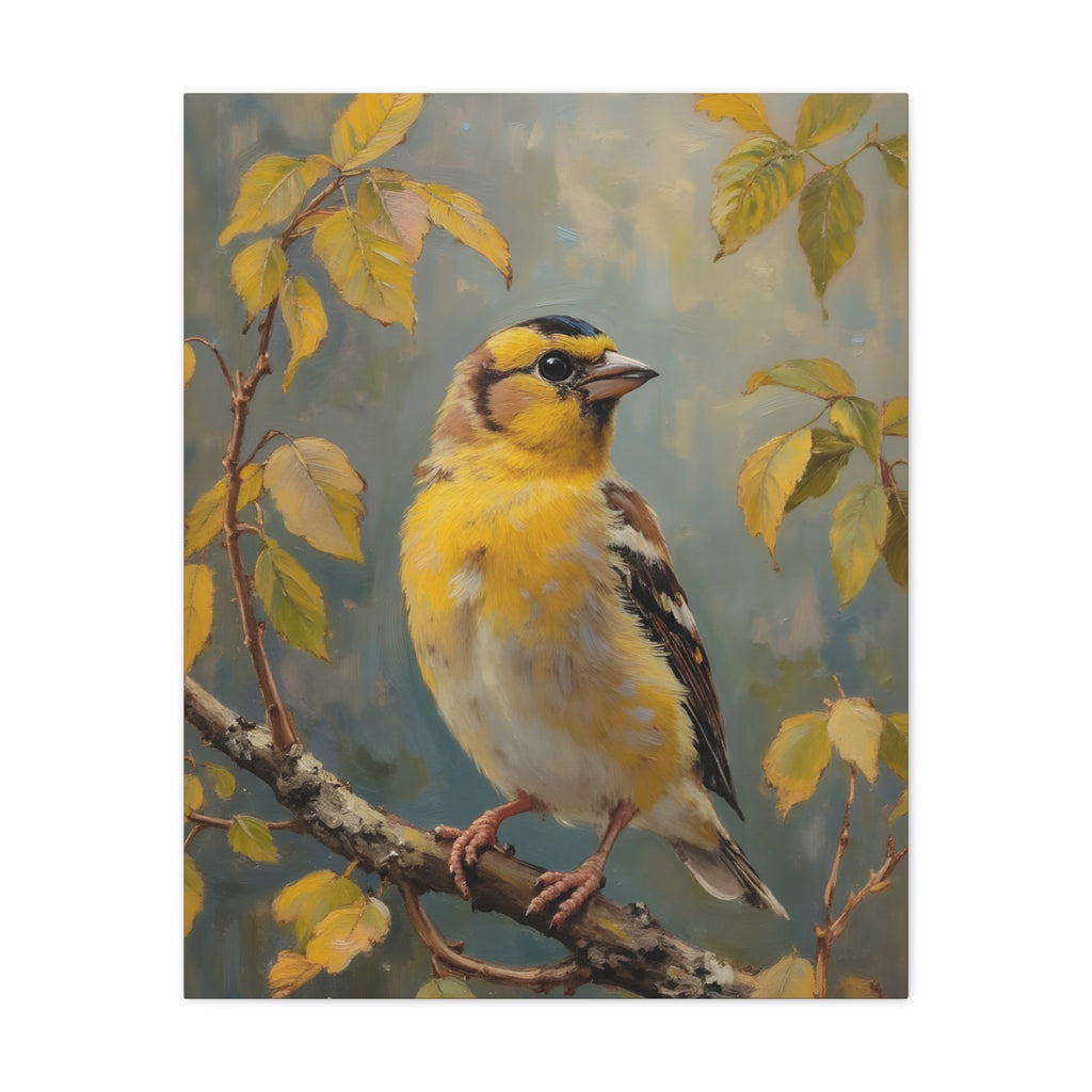 Goldfinch on a branch Wall Art - Stretched Canvas