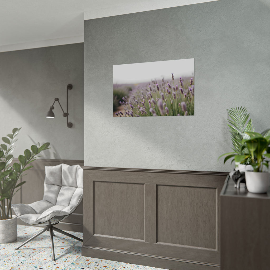 Lavender Field Wall Art – Poster