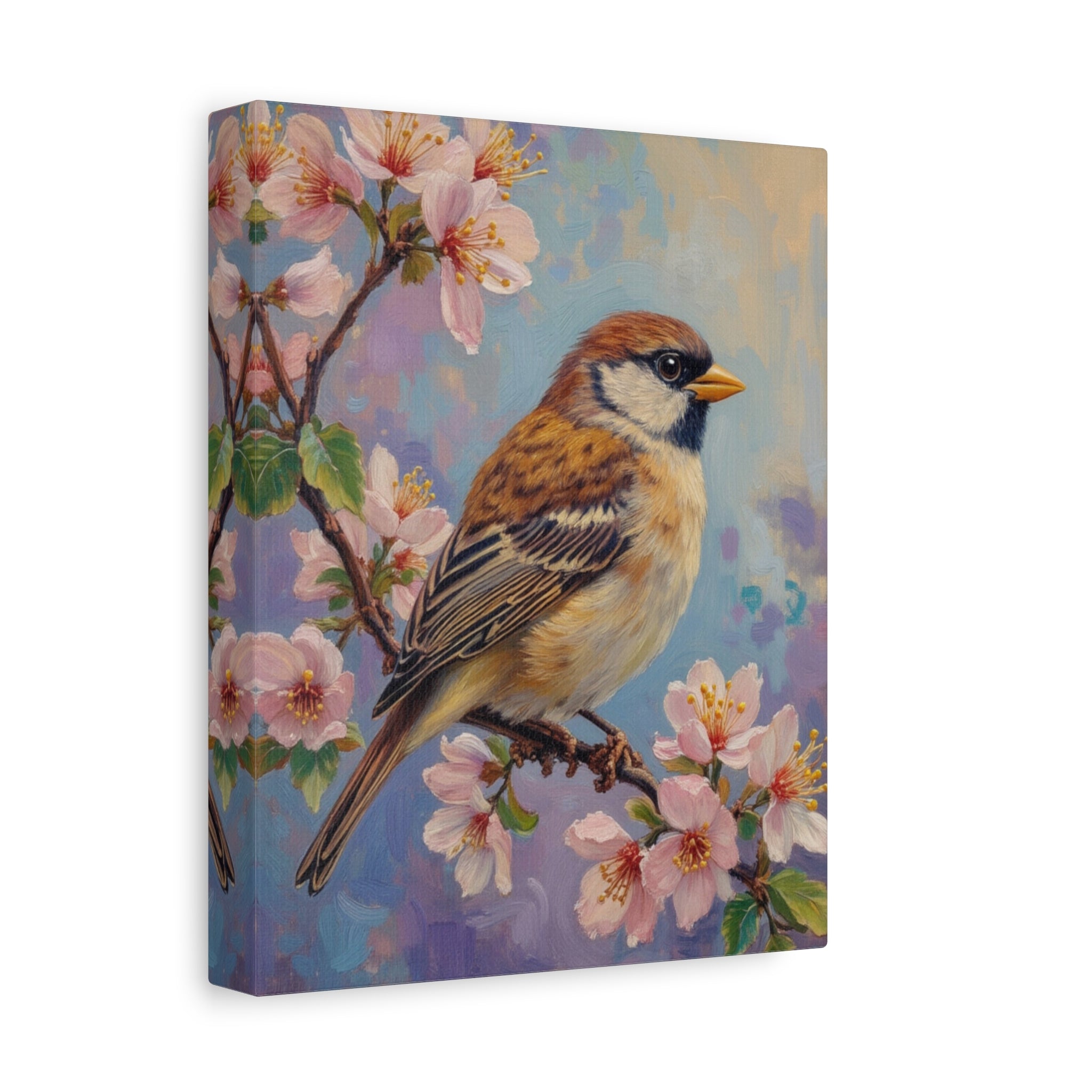 Sparrow on Cherry Blossoms Matte Stretched Canvas