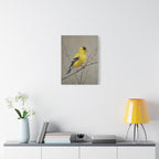 Putter Muurkunst Canvas — Gele Zangvogel Schilderij op Tak, Mat Gespannen Canvas
