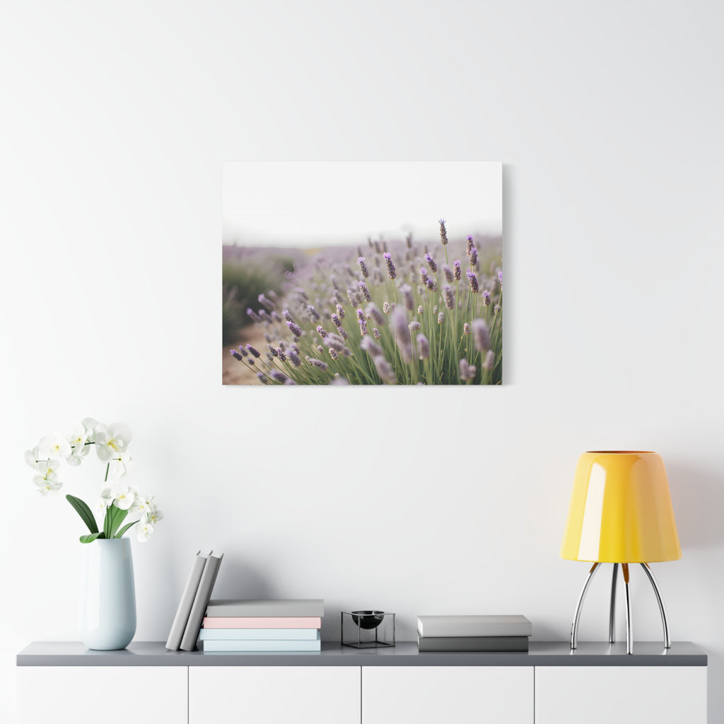 Lavender Field Wall Art – Stretched Canvas