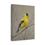 Putter Muurkunst Canvas — Gele Zangvogel Schilderij op Tak, Mat Gespannen Canvas