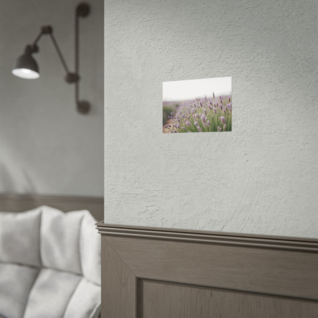 Lavender Field Wall Art – Poster