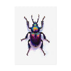 Iridescent Beetle Wall Art – Poster