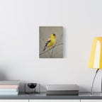 Putter Muurkunst Canvas — Gele Zangvogel Schilderij op Tak, Mat Gespannen Canvas