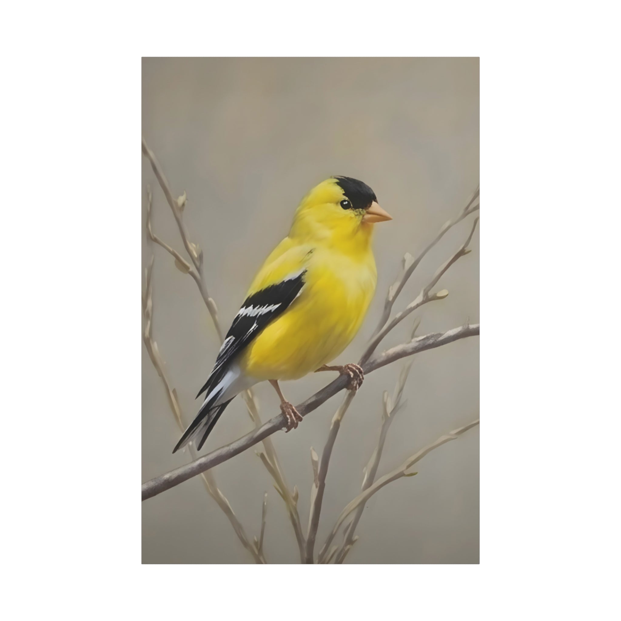 Goldfinch Wall Art Canvas — Yellow Songbird Painting on Branch, Matte Stretched Canvas