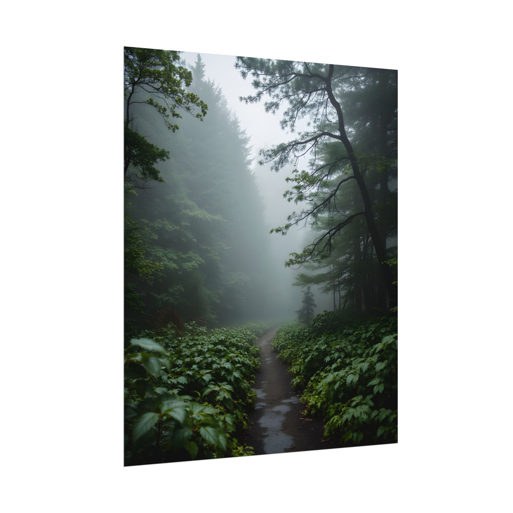 Misty Forest Path  Stretched Wall Art - Poster