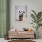 Potted Alpine Dodgegrass Wall Art – Poster