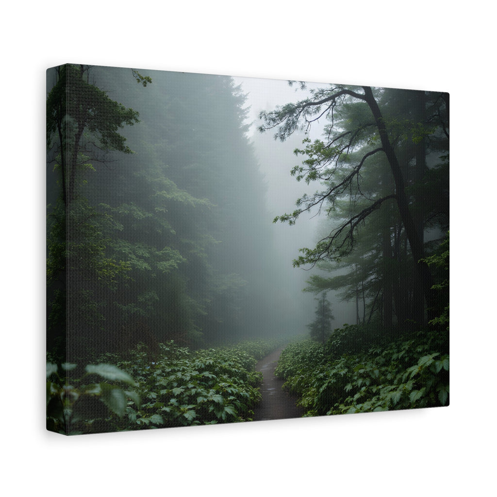 Misty Forest Path  Stretched Wall Art - Canvas Print