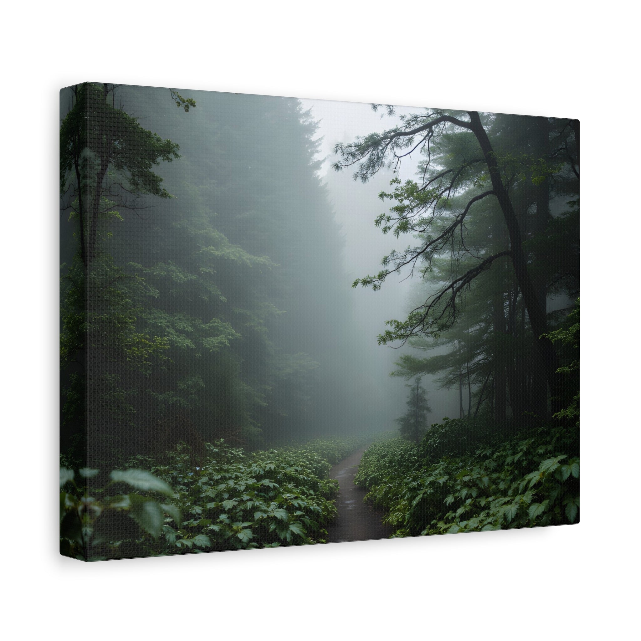 Misty Forest Path  Stretched Wall Art - Canvas Print