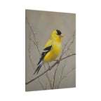 Putter Muurkunst Canvas — Gele Zangvogel Schilderij op Tak, Mat Gespannen Canvas