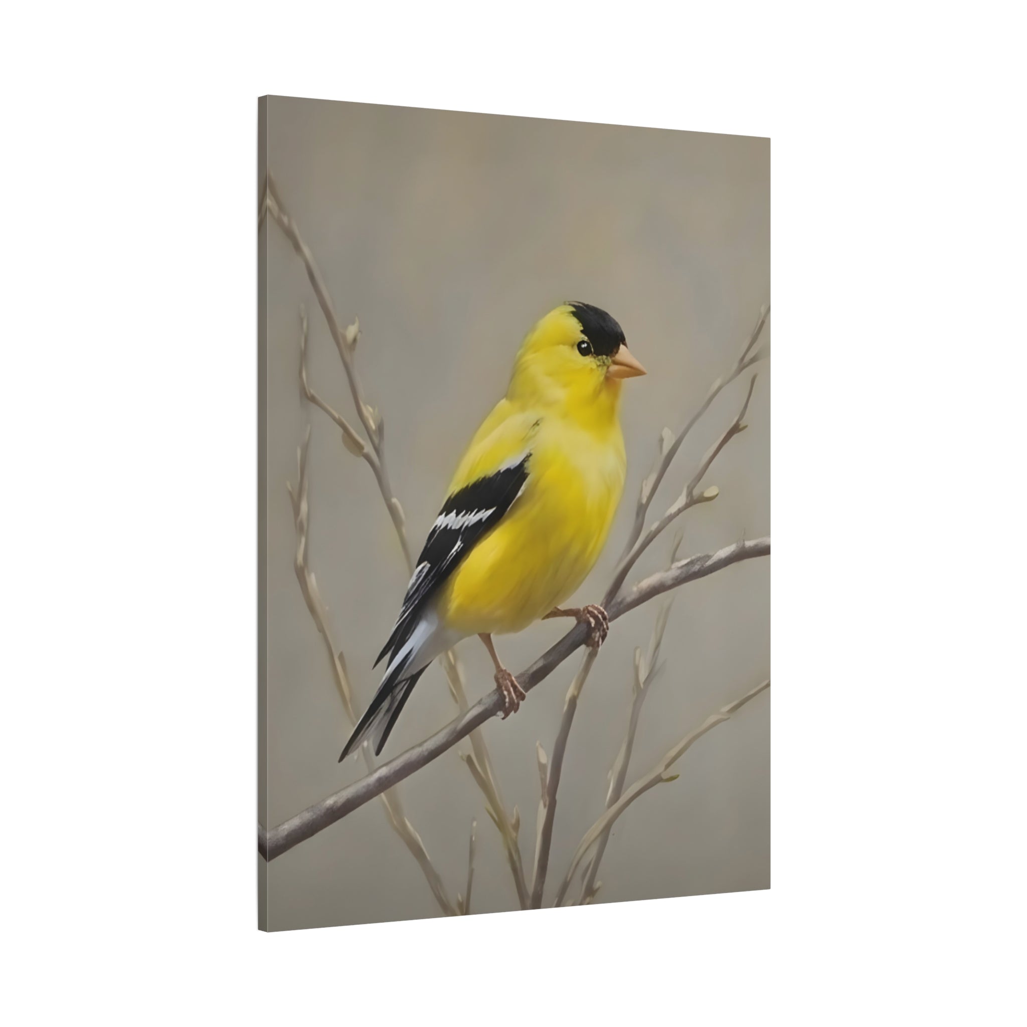 Putter Muurkunst Canvas — Gele Zangvogel Schilderij op Tak, Mat Gespannen Canvas