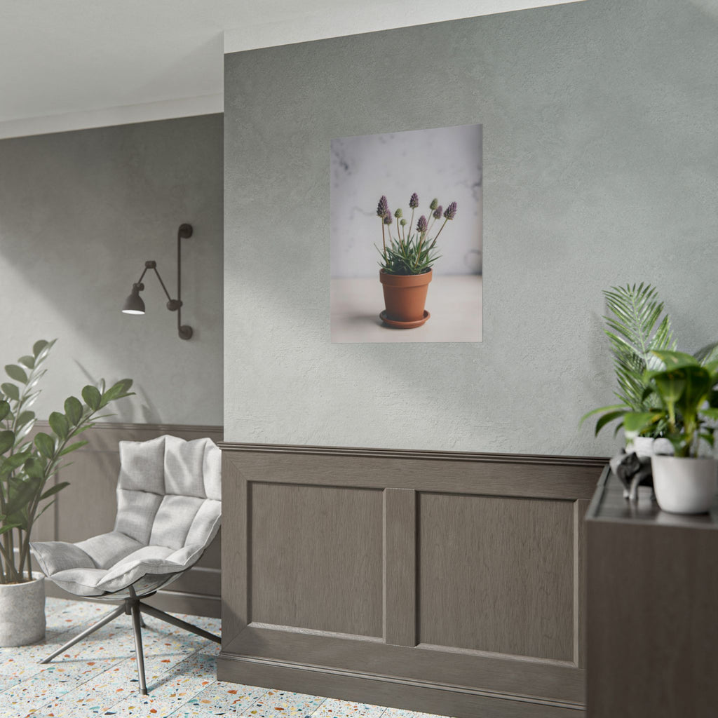 Potted Alpine Dodgegrass Wall Art – Poster