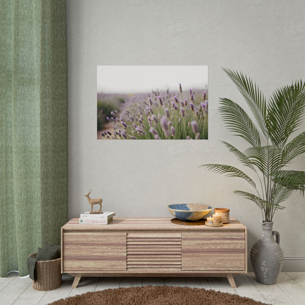 Lavender Field Wall Art – Poster