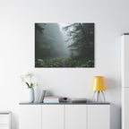 Misty Forest Path  Stretched Wall Art - Canvas Print