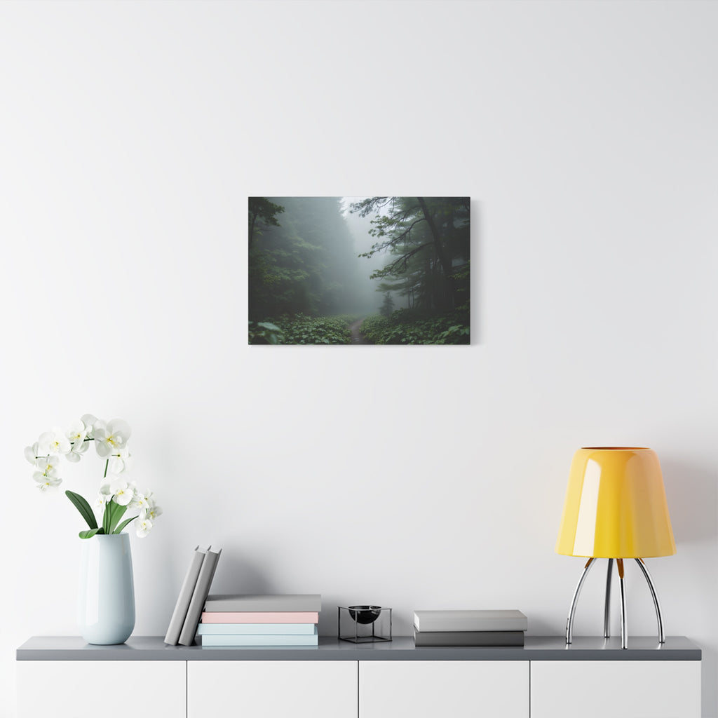 Misty Forest Path  Stretched Wall Art - Canvas Print